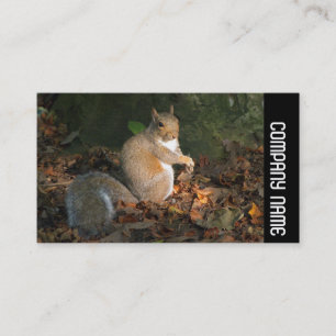 Seitliche Band - Graues Eichhörnchen Visitenkarte