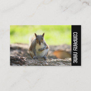 Seitliche Band - Graues Eichhörnchen Visitenkarte