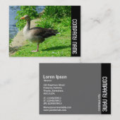 Seitliche Band - Graugans Visitenkarte (Vorne/Hinten)