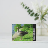 Seitliche Band - Graugans Visitenkarte (Stehend Vorderseite)