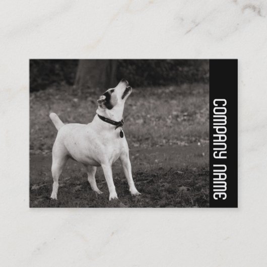 Seitliche Band - Hund Visitenkarte (Vorderseite)