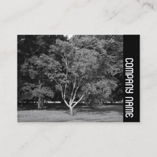 Seitliche Band - Magnolia Tree BW Visitenkarte