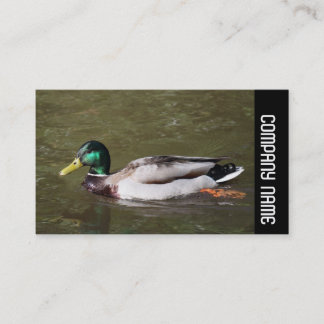 Seitliche Band - Mallard Duck Visitenkarte
