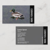 Seitliche Band - Mallard Duck Visitenkarte (Vorne/Hinten)