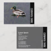 Seitliche Band - Mallard Duck Visitenkarte (Vorne/Hinten)