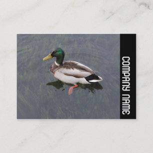 Seitliche Band - Mallard Duck Visitenkarte