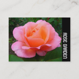 Seitliche Band - rosa Rose Visitenkarte