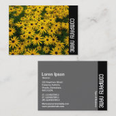 Seitliche Band - Schwarze mit Augen Susans (Rudbec Visitenkarte (Vorne/Hinten)