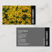 Seitliche Band - Schwarze mit Augen Susans (Rudbec Visitenkarte (Vorne/Hinten)