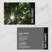 Seitliche Band - Sonne durch Bäume Visitenkarte (Vorne/Hinten)