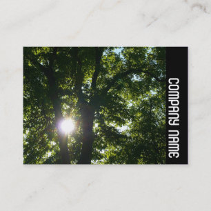Seitliche Band - Sonne durch Bäume Visitenkarte