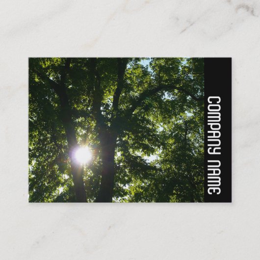 Seitliche Band - Sonne durch Bäume Visitenkarte (Vorderseite)