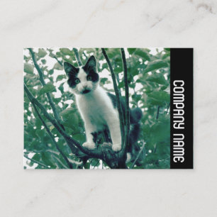 Seitliche Band - Überfluss der Unbeholfenheit Visitenkarte