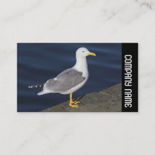 Seitliche Kette - Gelbkörner Visitenkarte