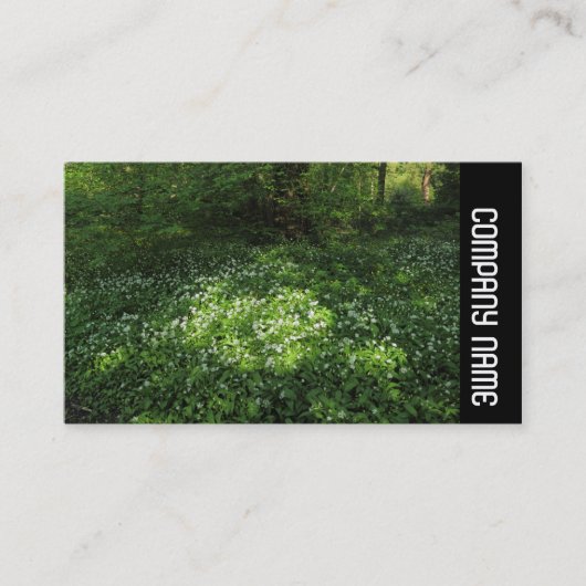 Seitliche Pflaster - Knoblauchtopf Visitenkarte (Vorderseite)