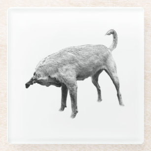 Seitlicher Terrier Charm Glasuntersetzer