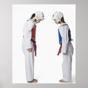 Seitliches Profil von zwei Taekwondo-Spielern Bowl Poster