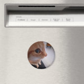 Seitwärtsblick-Katzen-Meme Magnet (In Situ (Geschirrspüler))