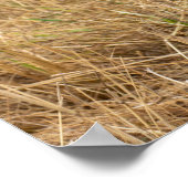 Sekretär für die Jagd Poster (Ecke)