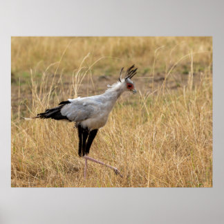 Sekretär für die Jagd Poster