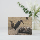 Sekretär Postkarte (Stehend Vorderseite)