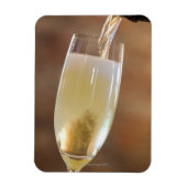 Sekt Magnet (Vertikal)