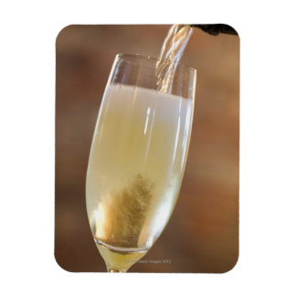 Sekt Magnet