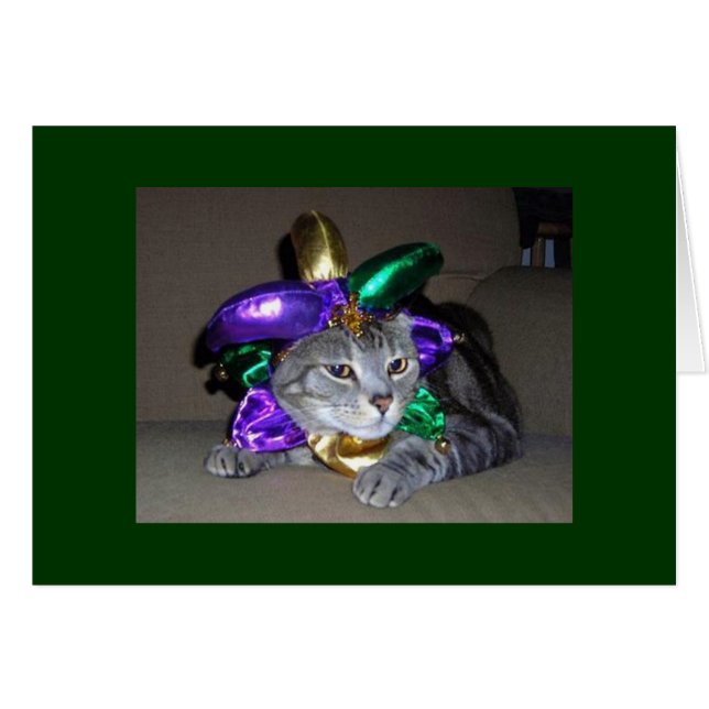 SELBST DIE KATZE FEIERT FÜR "YOU" SIND "5O" (Vorderseite (Horizontal))