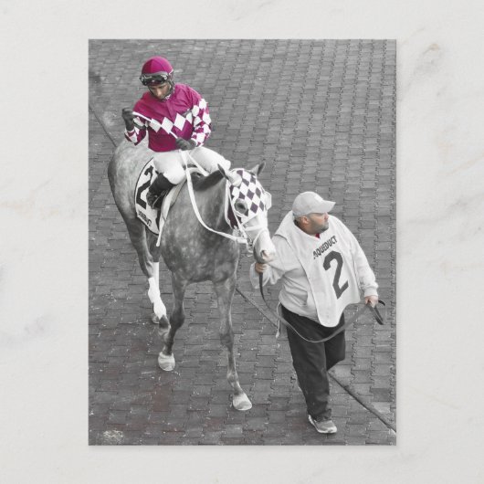 Selbst Donner Postkarte (Vorderseite)