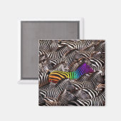 selbst magnet (Vorderseite/Rückseite)