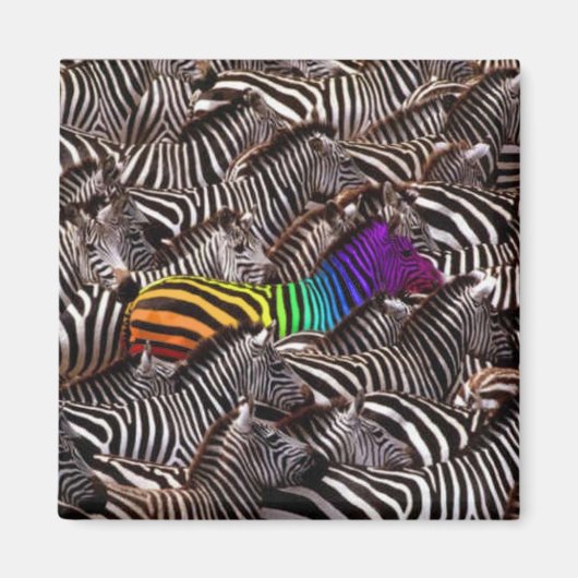 selbst magnet (Vorne)