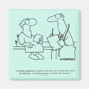 Selbstdiagnose Magnet