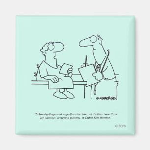 Selbstdiagnose Magnet