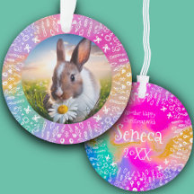 Selbstgemachter Kaninchen-Regenbogen-Weihnachtssch