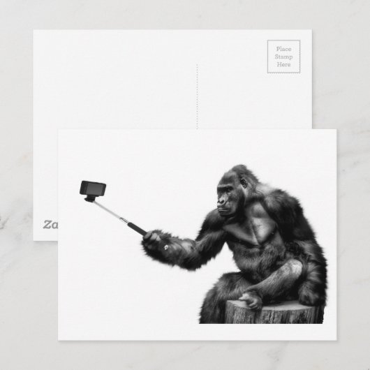 Selbstklemme Postkarte (Vorne/Hinten)