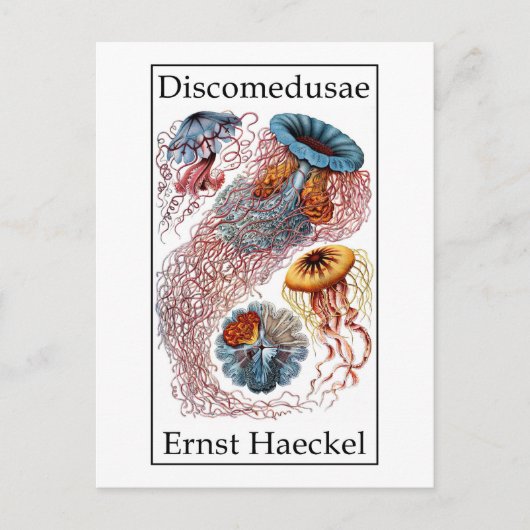 Selbstkomödie von Ernst Haeckel Postkarte (Vorderseite)