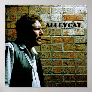 Selbstporträt von Bruce AlleyCat Poster