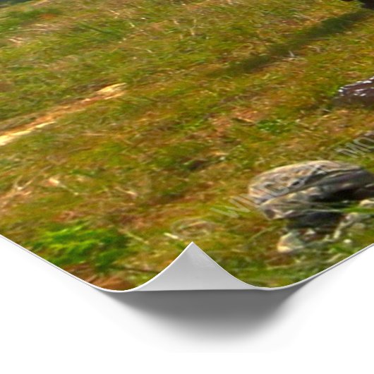 SELBSTPROPELLED HOWITZER - M109 Paladin Poster (Ecke)