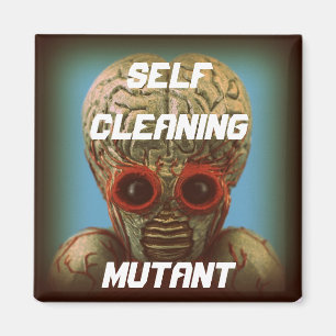 Selbstreinigungs-Mutant Magnet