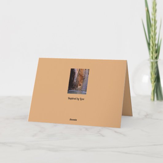 Selbstverschuldung (Rückseite)