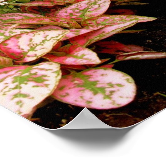 Selbstversorgender Garten Poster (Ecke)