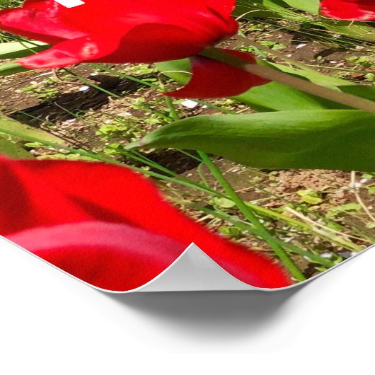 Selbstvertrauen Poster (Ecke)