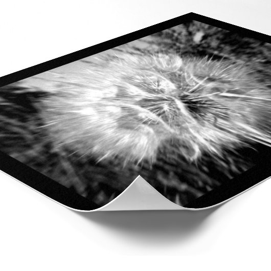 selbstzentriert poster (Ecke)