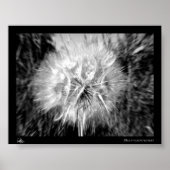 selbstzentriert poster (Vorne)