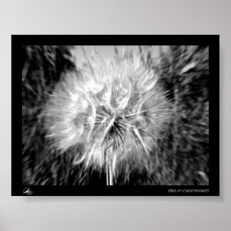 selbstzentriert poster