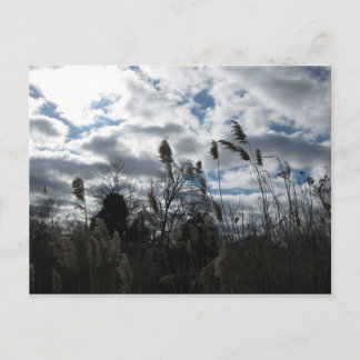 Selby-On-the-Bay Postcard Postkarte