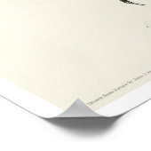 Selby's Flycatcher von Audubon Poster (Ecke)