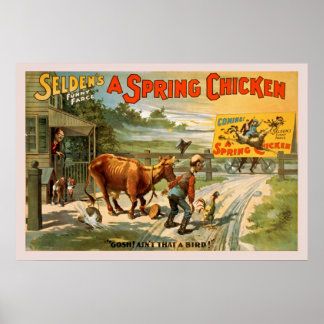 Selden's Funny Farce, ein Frühlingsgeweih-Poster Poster