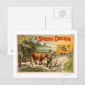 Selden's Funny Farce, Ein Frühlingsspiel Postkarte (Vorne/Hinten)