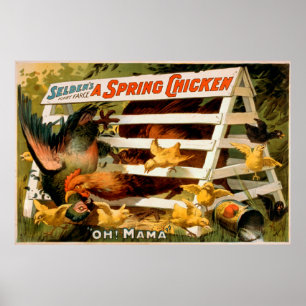 Seldens lustige Farce, ein Frühlings-Huhn-Spiel Poster